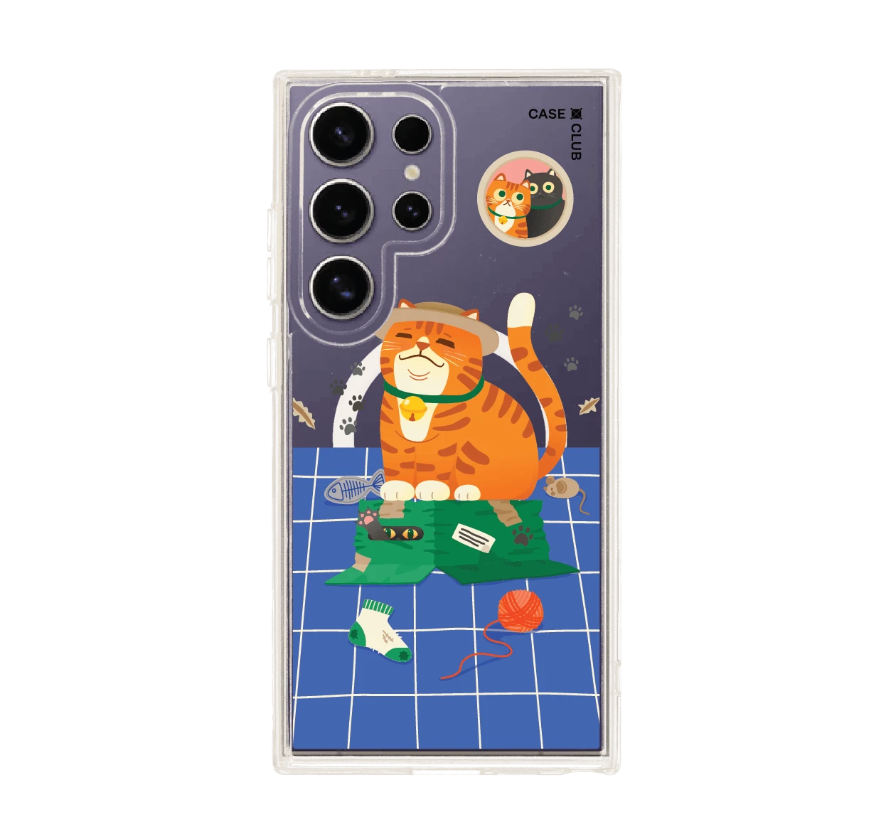 แมวหมวกฟางนักผจญภัย